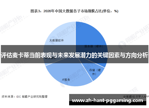 评估麦卡蒂当前表现与未来发展潜力的关键因素与方向分析